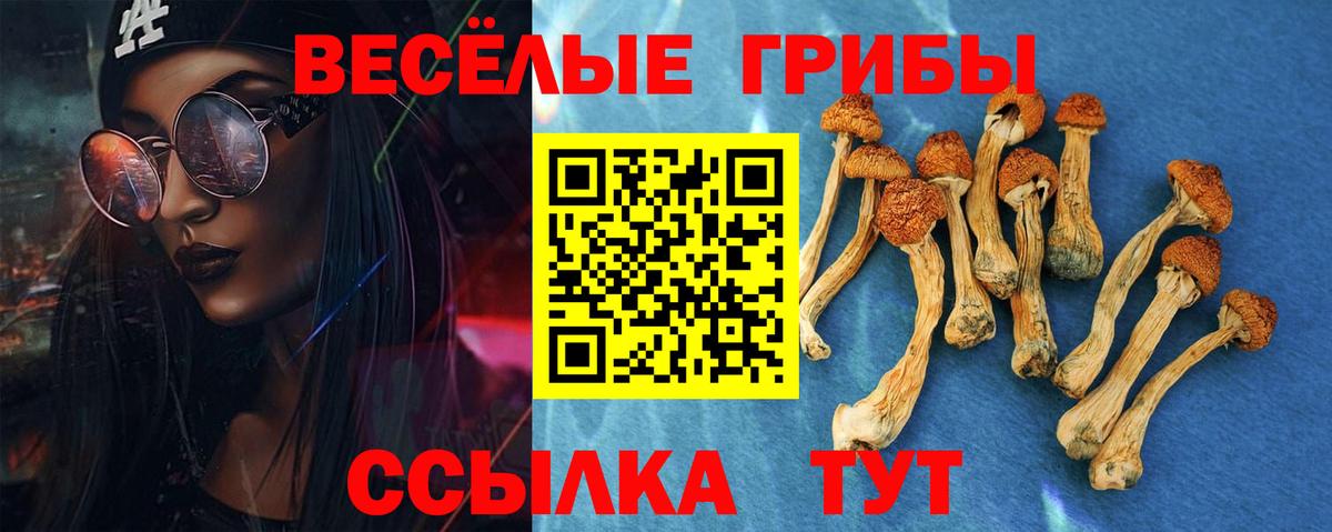 Изобильный  Псилоцибиновые грибы мицелий  Вход с VPN 